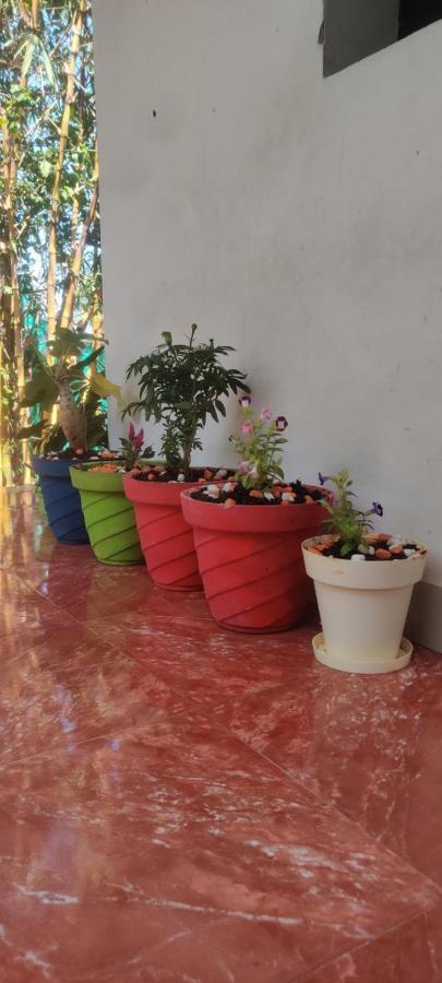 Mahabs Homestay Villa 马哈巴利普拉姆 外观 照片